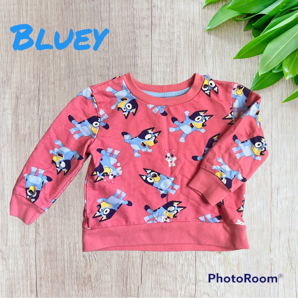 Bluey sweater
